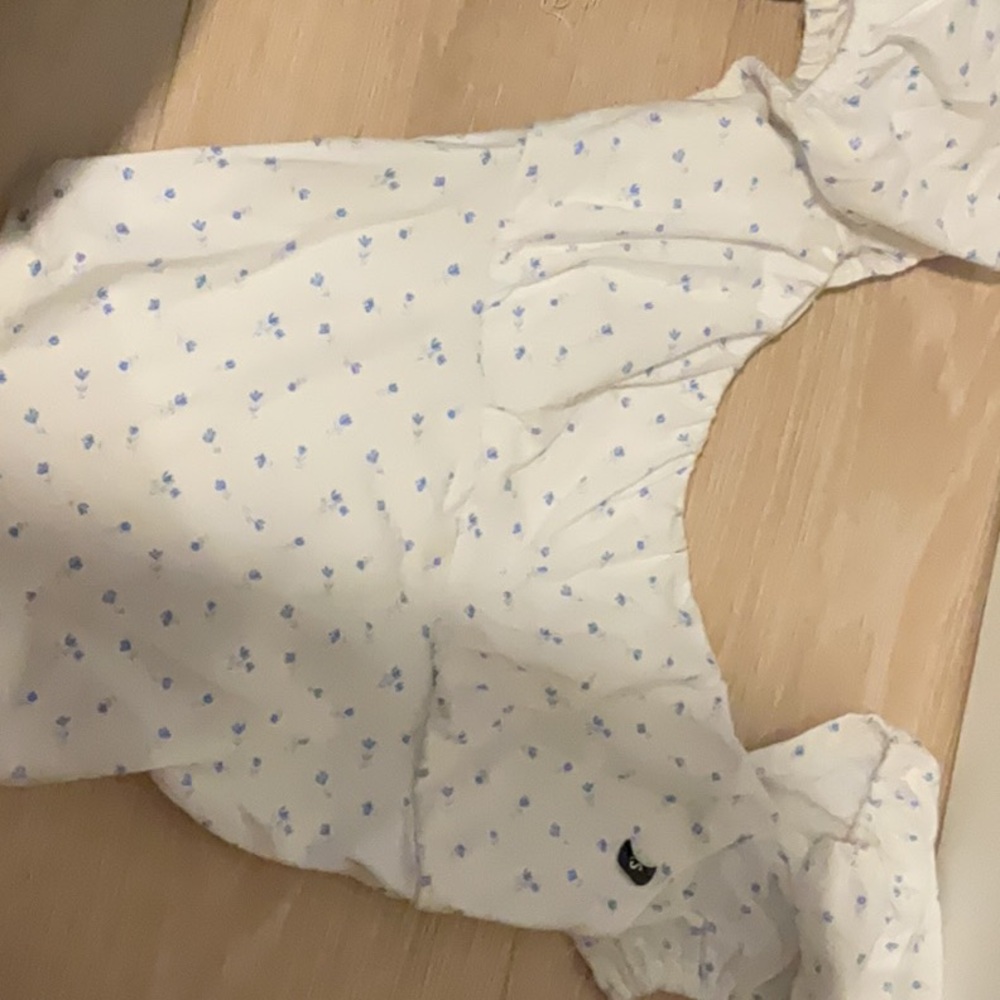 Hollister White and Blue Floral Crop Top